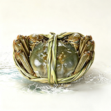 Suzhou Hairy Crabs